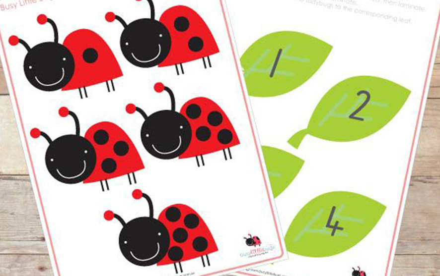 Outdoor family fun: Spot the ladybirds | N Family Club