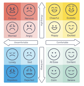 Mood meter